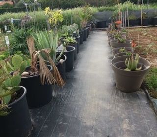  Terrain � louer 150 m�