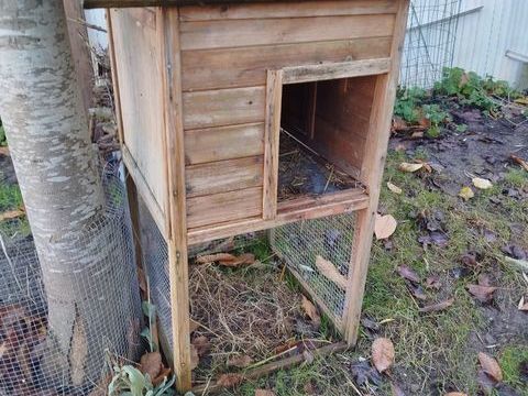 Abri pondoir pour poules ou niche pour autres animaux 30 62138 Haisnes