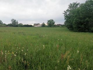  Terrain à vendre 