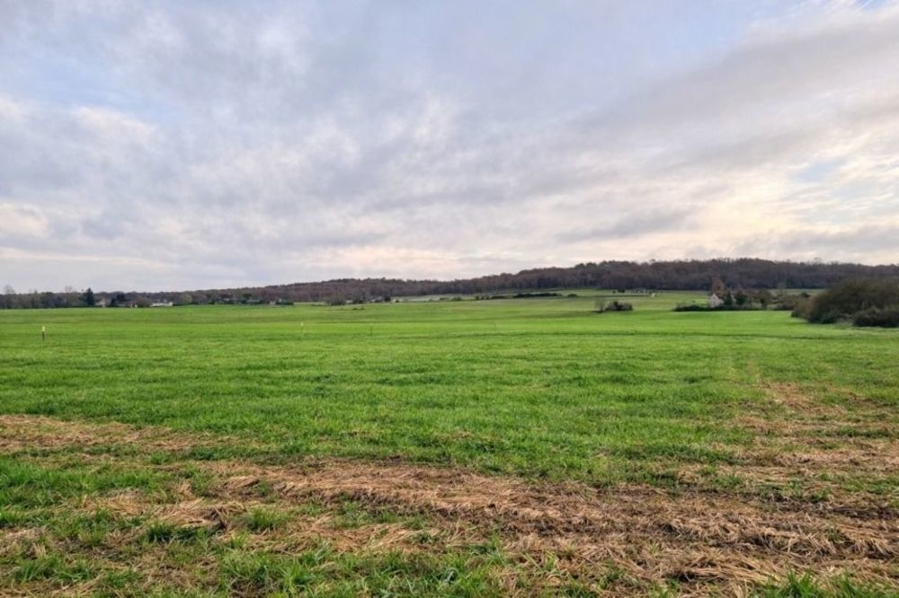 Maisons neuves   Saint-Germain-et-Mons (24520)