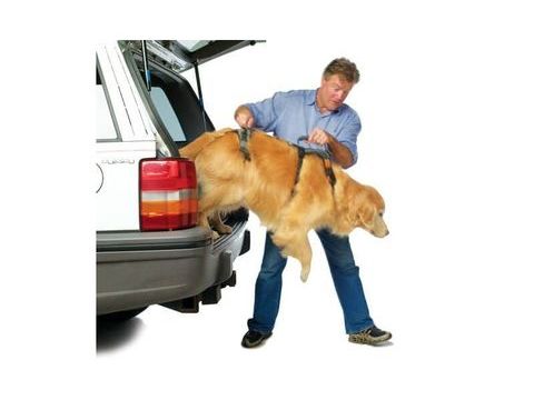 Harnais complet pour promenade pour chien m&acirc;le 129 83200 Toulon