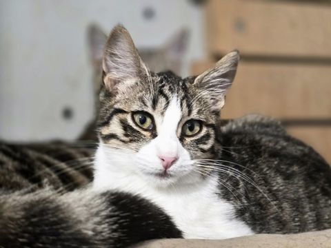 VALDY 210 27140 Gisors