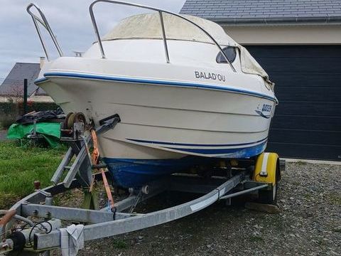 Bateaux &agrave; moteur P&ecirc;che-promenade 2002 occasion Saint-Denis-d'Anjou 53290