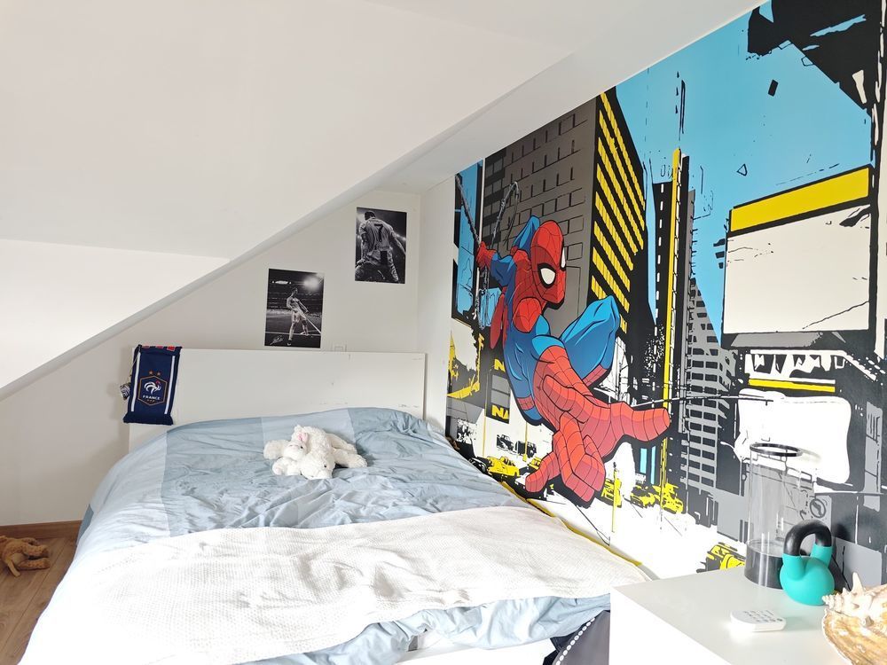 � vendre  Maison Cessy (01170)