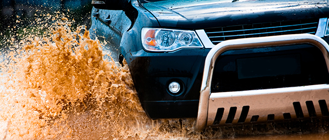 ST DIFFUSION, concessionnaire 51