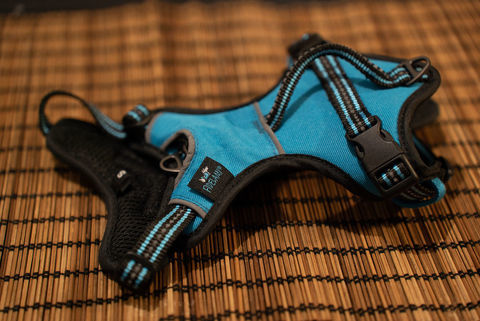 Harnais chien 30 13005 Marseille