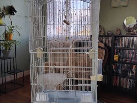 Couple Diamant bavette + cage 40 79100 Thouars