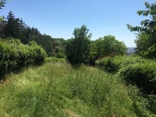  Maison � louer 5 pi�ces 120 m�