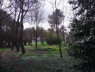  Terrain � vendre 3000 m�