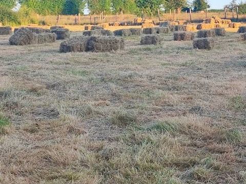 Foin  en petits ballots 3 80640 Hornoy-le-bourg