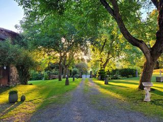  Propri�t�/ch�teau � vendre 15 + pi�ces 408 m�