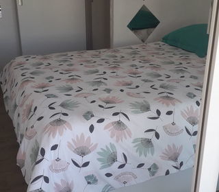 Location  Appartement 