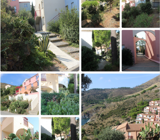  Appartement � louer 3 pi�ces 35 m�