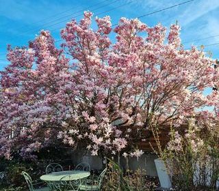  Maison � vendre 3 pi�ces 70 m�