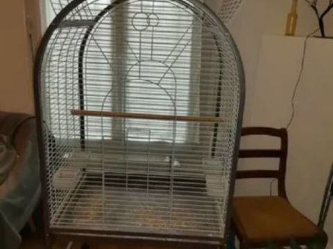 Grande voli&egrave;re 75 77400 Saint-thibault-des-vignes