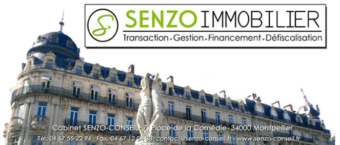 Agence Senzo Conseil Montpellier
