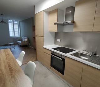  Appartement � louer 2 pi�ces 47 m�