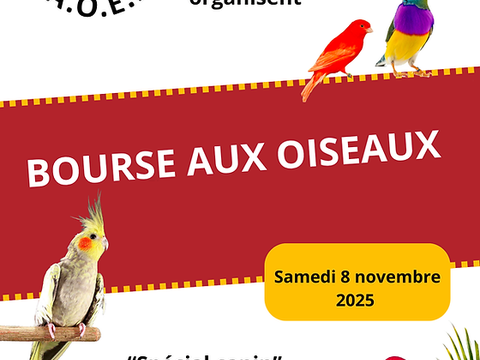 Bourse aux oiseaux 50 28300 Mainvilliers