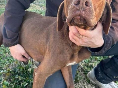 RIO 0 26300 Bourg-de-page