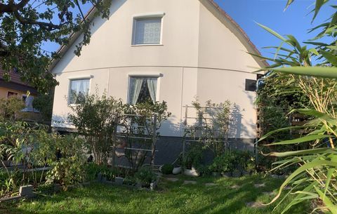   Muntzenheim, maison familiale 6 pi�ces de 139m� sans travaux Maison - 6 pi�ce(s) - 139 m�