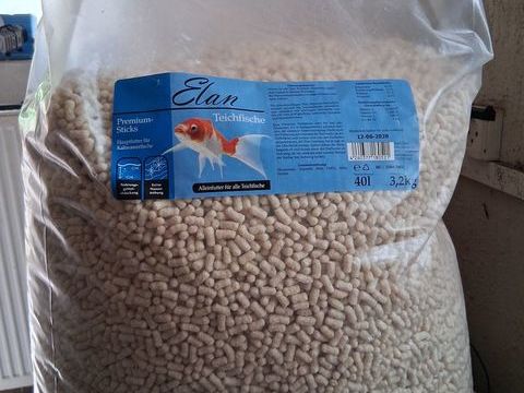 Nourriture pour poissons bassin 70 57350 Stiring-wendel