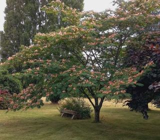  Maison � vendre 6 pi�ces 150 m�