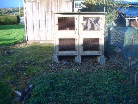 clapier &agrave; lapins 40 50160 Saint-amand