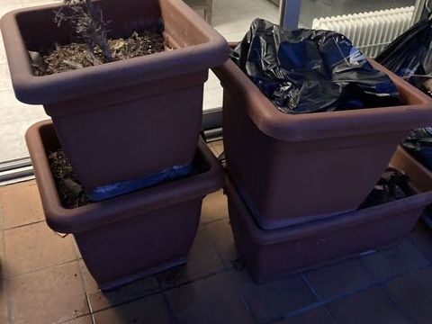 Jardinires et terre 0 Toulouse (31)