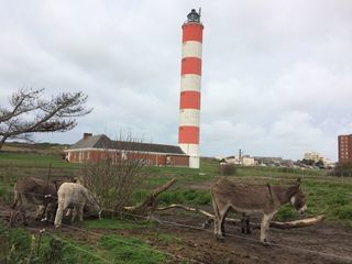  Appartement � louer 2 pi�ces 37 m�