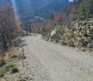  Terrain � vendre 20000 m�