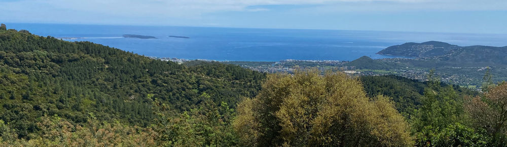 � vendre  Villa Mandelieu-la-Napoule (06210)