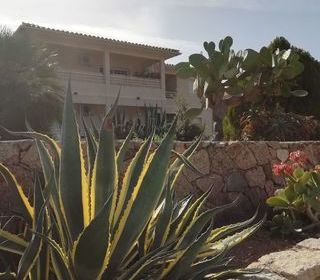 Location  Appartement 