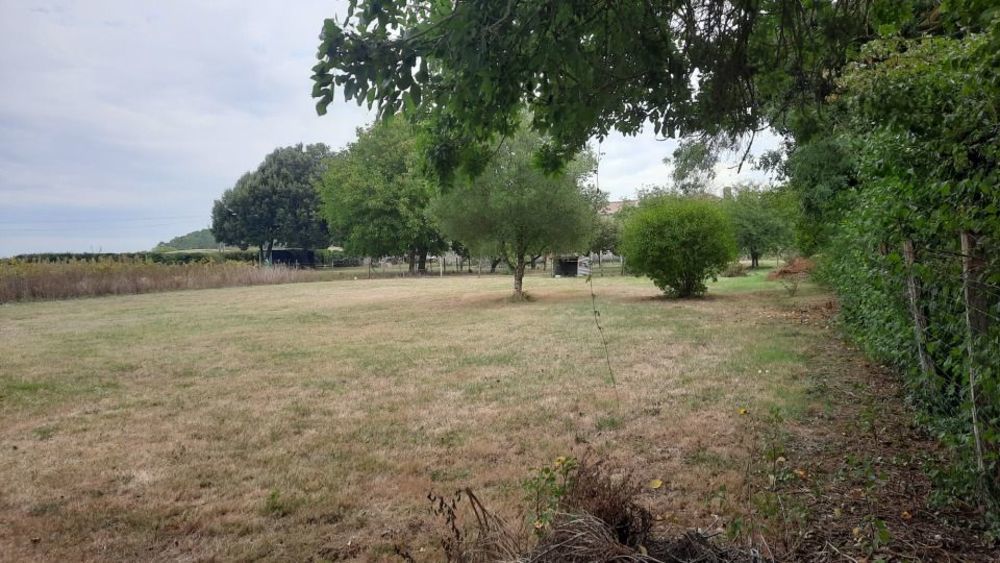 Maisons neuves   Lesparre-M�doc (33340)