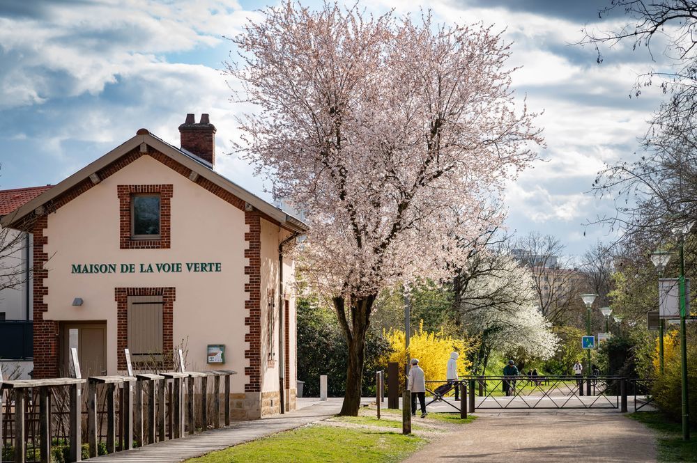   Caluire-et-Cuire (69300)