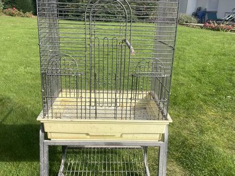 Volière calopsitte/conure 80 62720 Rinxent