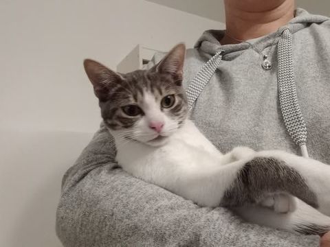 AZOUMA 180 95420 Arthies