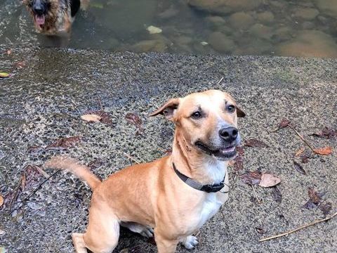 A&Iuml;KO la douceur des &icirc;les 350 53000 Laval