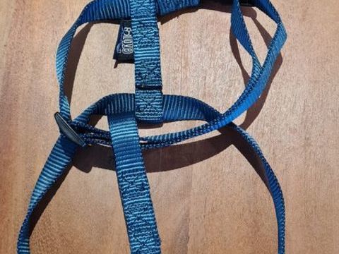 HARNAIS POUR CHIEN TAILLE M 5 82000 Montauban