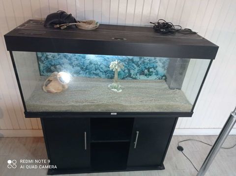 Aquarium 200 litres avec meuble 150 17600 Le gua