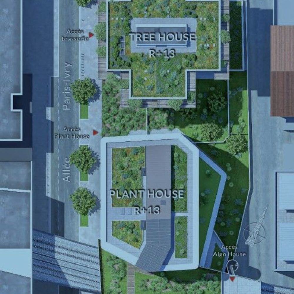 Appartements neufs   Paris (75013)