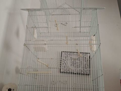 Cage oiseaux 30 77430 Champagne-sur-seine