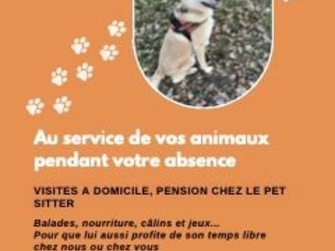 garde d'animaux de compagnie 20 45510 Vannes-sur-cosson
