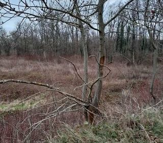  Terrain � vendre 1200 m�