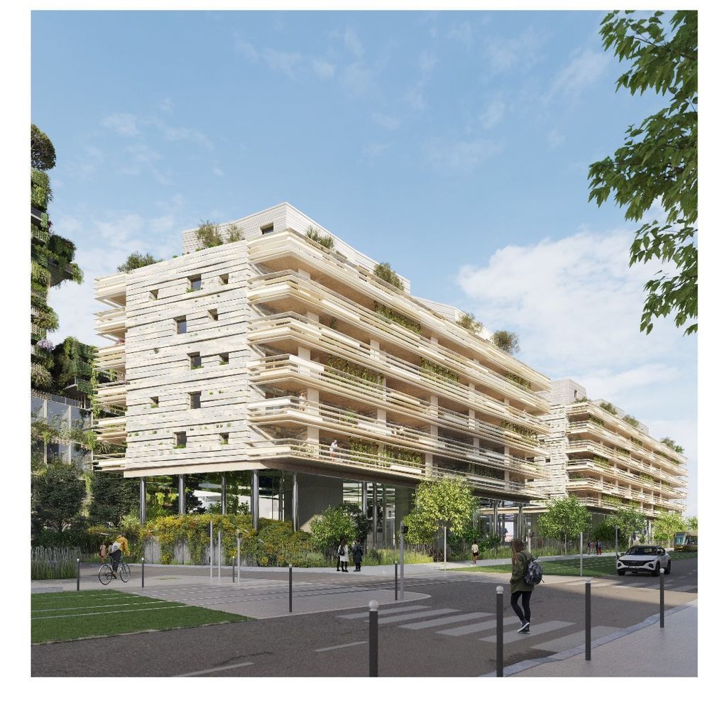 Appartements neufs   Montpellier (34000)