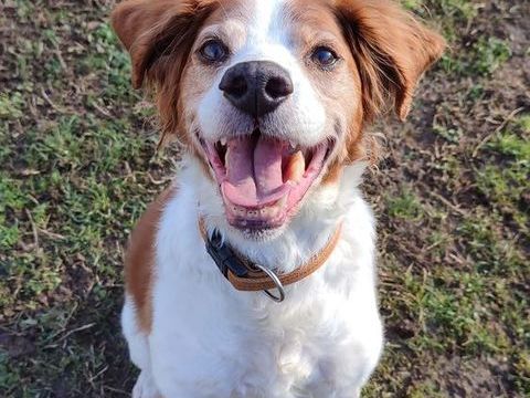 Jaspy 1 44000 Nantes