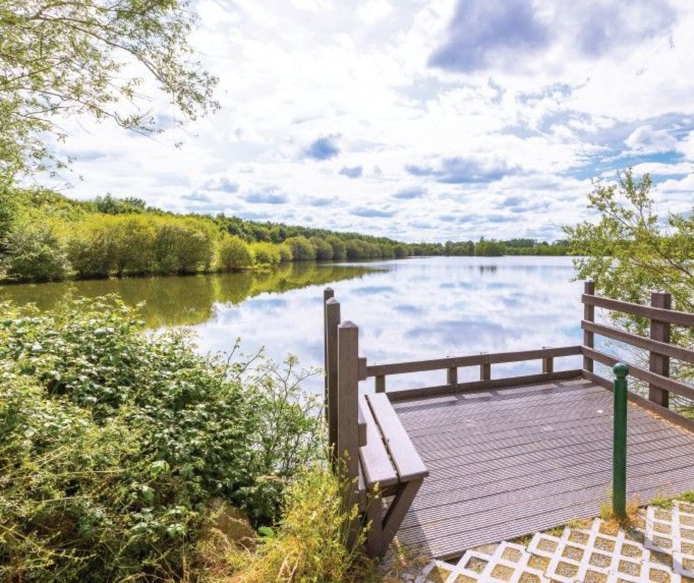 Appartements neufs   Mordelles (35310)