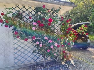  Maison � vendre 3 pi�ces 74 m�