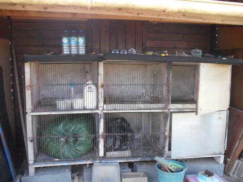 lot 6 clapiers beton 130 59570 Obies