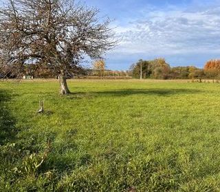  Terrain � vendre 