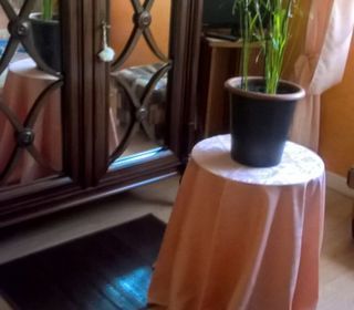  Chambre � louer 1 pi�ce 11 m�